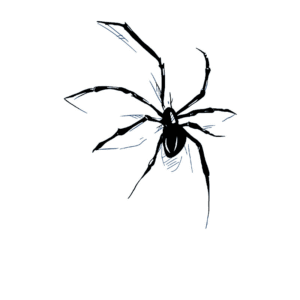 sketchy spider silhouette