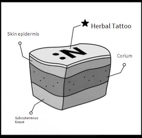 62a44be4401e007a3d80975262793ffe_1n Tattoo Stickers