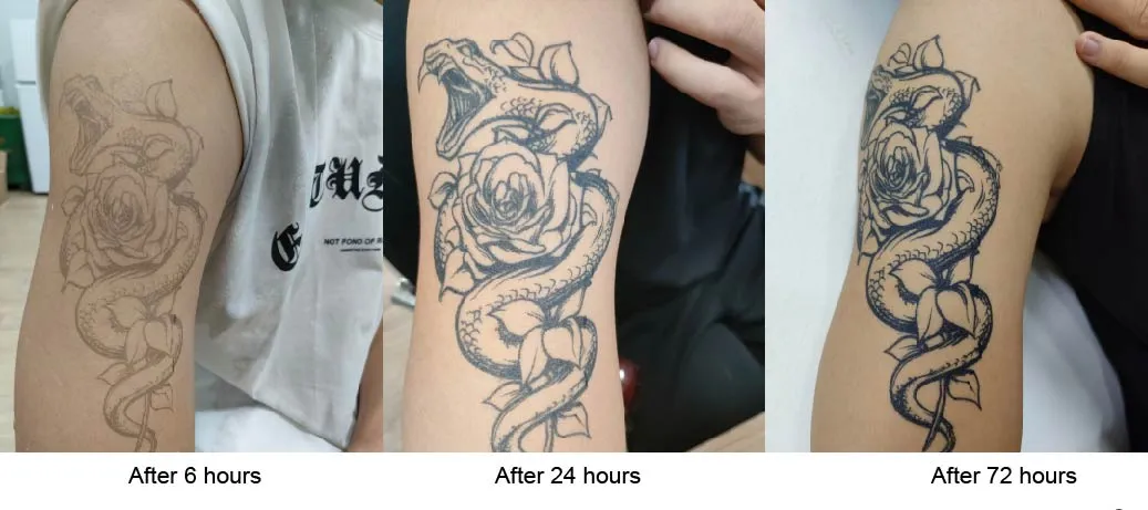 Temporary Tattoo Stickers