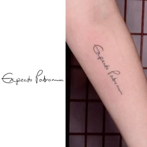 "Harry Potter Expecto Patronum Script Herbal Temporary Tattoo"