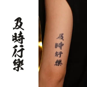 "Carpe Diem Chinese Calligraphy Temporary Tattoo (Herbal Ink, 2-Week Wear)"