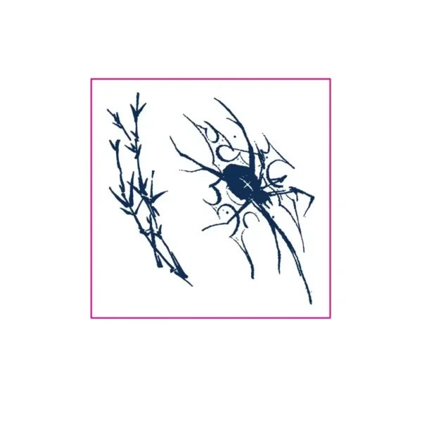 Temporary Tattoos | Gothic Spider & Thorn Line Art Herbal Design – Dark & Fades in 7-14 Days