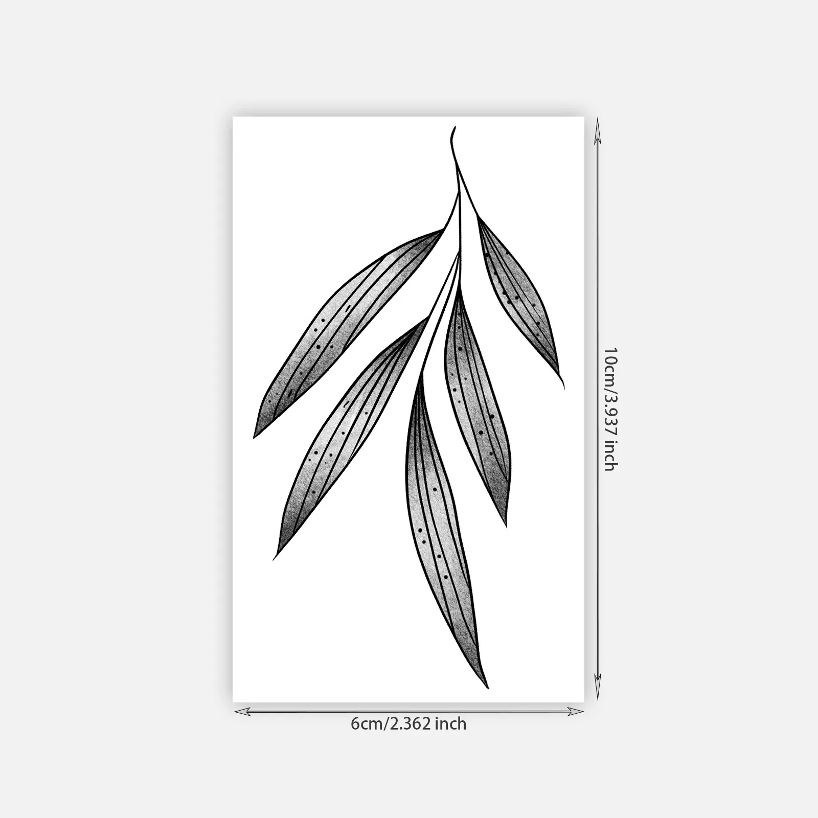 Minimalist Willow Leaf – Boho Tattoo | Lasts 3 Days